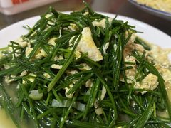 -范记靖远羊羔肉(博物馆店)