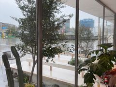 -喜茶(珠海华发商都店)
