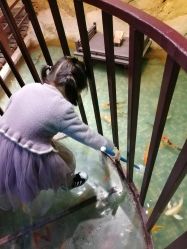 -酷嗒动物文化乐园(cutezoo西溪乐天城店)