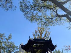 -和平公园