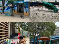 -宁波九龙湖开元度假村