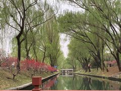-皇家御河游(紫御湾码头)