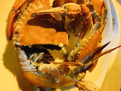 -丰收渔港饭店(嵊泗店)