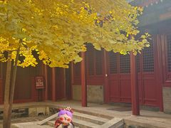 -承恩寺