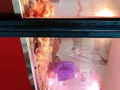 -土门八珍烤鸡腊味店(土门老店)
