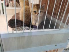 -三旗百汇商品城