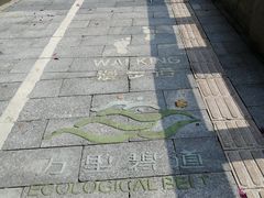 -长洲岛