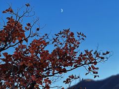 -水峪民俗村