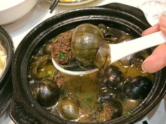 田螺煲-阿龙酒煲(海宁新苑路店)