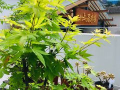 -禾气食店