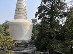 -大觉寺-停车场