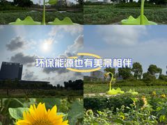 -春花秋色城市公园