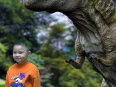 -石家庄市动物园