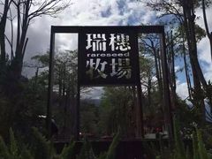 -瑞穗牧场