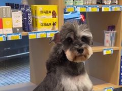 -瑞派康怡24h宠物医院·犬猫医疗中心·微创绝育(瑞景分院)