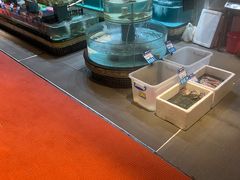 -强记海鲜·大排档(蛇口新街店)