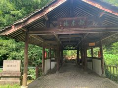 -四明山国家森林公园