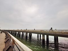 -演武大桥观景平台