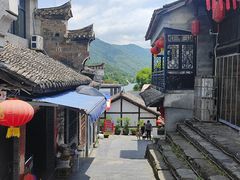 -后柳水乡