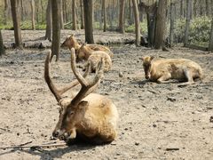 -溱湖国家湿地公园