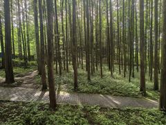 -山王坪喀斯特国家生态公园