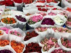 -三圣花乡旅游区