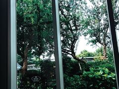 -奔驰上海利星(七宝店)