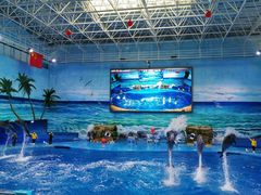 -多彩贵州城极地海洋世界