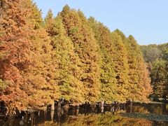 -灵谷景区