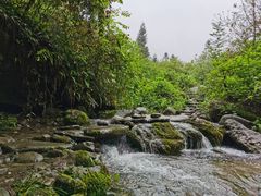 -龙窝子