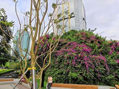 -荔枝公园-小平画像广场