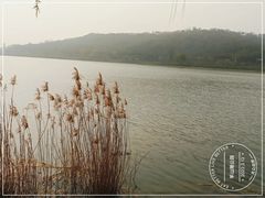 -羊山湖公园