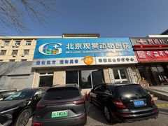-北京观赏动物医院·24小时大型综合·猫专科·异宠专科