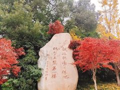 -岳麓山风景名胜区