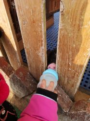 -萌宠亲子动物乐园(槐房万达店)