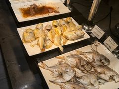 -张江海科雅乐轩聚聚乐