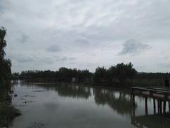 -漩门湾国家湿地公园