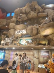 -卡通尼·Safari非洲探索乐园·生日会(金桥国际商业广场店)