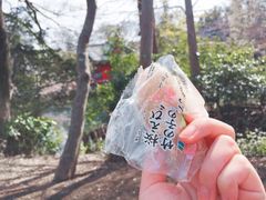 -井之头恩赐公园