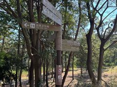 -南京市无想山景区