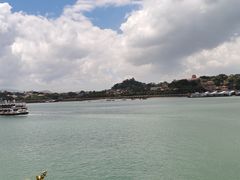 -八婆婆烧仙草(中山路店)