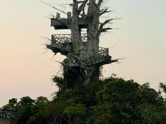 -芒洲湿地公园