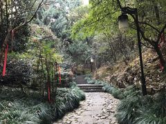 -梦姑塘文化公园