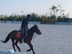 -上海崇明金茂凯悦酒店