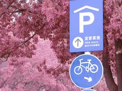 -IKEA宜家家居(南京商场)