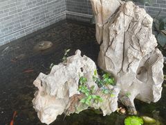 -苏州冶园园林民宿(太湖西山风景区店)