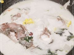 -鲜潭蒸汽石锅鱼(五道口购物中心店)