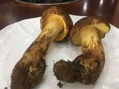 白葱-菌之家·专业纯野生菌火锅·特色炒菌