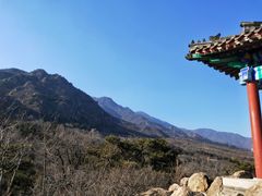 -北京鹫峰国家森林公园