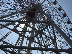 -上海野生动物园